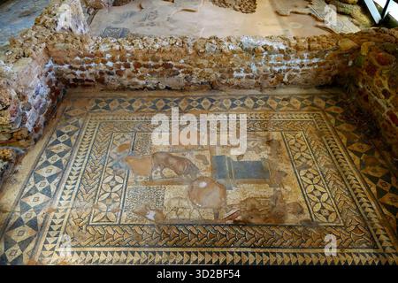 Intricati mosaici di pavimento nelle rovine di un'antica villa romana nel villaggio di Skala, Cefalonia, Grecia Foto Stock