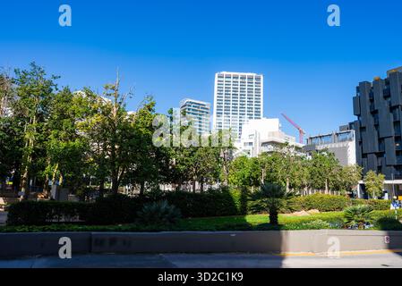 Moderni grattacieli e parco a Sliema, Malta, sotto la luce di mezzogiorno Foto Stock