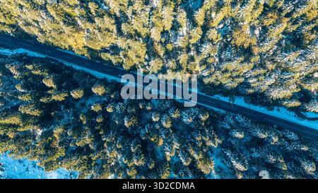 Vista dall'alto di una strada di montagna che attraversa una foresta di pini verdi e innevati sotto la luce del sole invernale Foto Stock