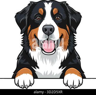 Popolare set vettoriale per razze canine. Illustrazioni isolate di Labrador, Bulldog francese, Pastore tedesco, Golden Retriever e Poodle. Illustrazione Vettoriale