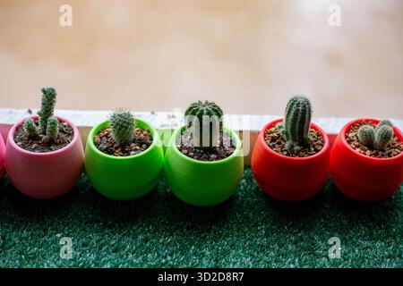 Piante di cactus miniaturizzate con messa a fuoco selettiva disposte in vasi di plastica in molti colori. Collocato su un tavolo ricoperto di erba artificiale verde. C'è un tex Foto Stock