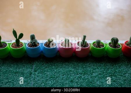 Piante di cactus miniaturizzate con messa a fuoco selettiva disposte in vasi di plastica in molti colori. Collocato su un tavolo ricoperto di erba artificiale verde. C'è un tex Foto Stock