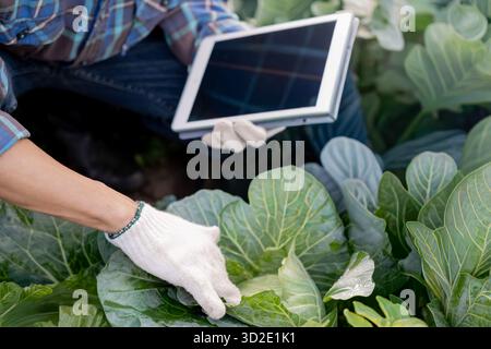 Gli agricoltori utilizzano la principale rete di dati in Internet, la tecnologia agricola, il lavoro sull'analisi dei dati raccolti tramite tablet, la tecnologia per il collegamento dati delle piantagioni Foto Stock