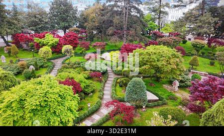 Vista droni del GIARDINO GIAPPONESE DI BATUMI con foglie rosse di aceri giapponesi (a maggio!), sentieri in pietra, lanterne e posti a sedere in pietra (o sdraiati) Foto Stock