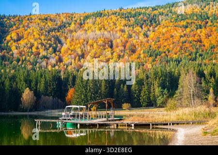 Sereno autunno vicino al cratere lago Sant'Anna in Transilvania, Romania, circondato da foreste colorate che si riflettono in acque calme Foto Stock