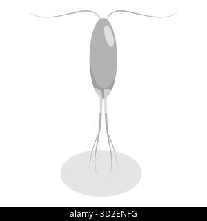 3D Isometric Flat Set of Variety of Plankton, Collection of Small Water Imrents. Punto 5 Foto Stock