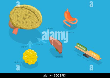 Illustrazione concettuale piatta isometrica 3D del controllo degli ormoni della fame, dell'appetito e della fame illustrazione concettuale piatta isometrica 3D del controllo dell'aspirazione alimentare, dell'appetito e degli ormoni della fame Foto Stock