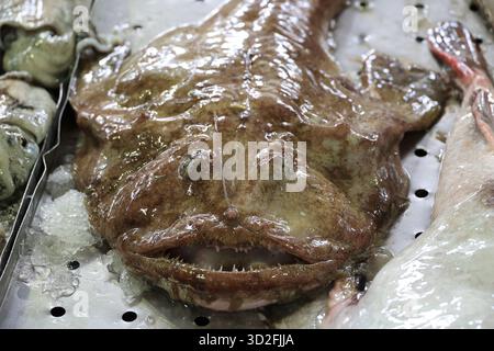 Rana pescatrice da vicino in una bancarella al mercato del pesce di Loulé, in Portogallo Foto Stock