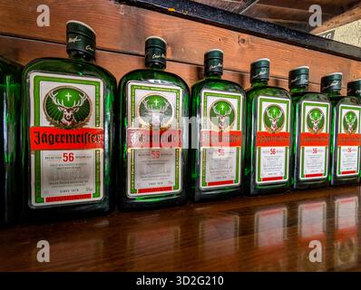 Molti flaconi Jägermeister allineati su Un bancone in legno. Atmosfera da night bar Foto Stock