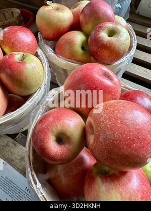 Prodotti alimentari mele e mele Nittany Foto Stock