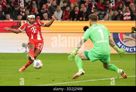 Monaco, Germania. 1 novembre 2025. Serge Gnabry (L) del Bayern Monaco di Baviera segna durante la partita di calcio tedesca di prima divisione tra Bayern Monaco e Bayer 04 Leverkusen a Monaco di Baviera, Germania, 1 novembre 2025. Crediti: Philippe Ruiz/Xinhua/Alamy Live News Foto Stock