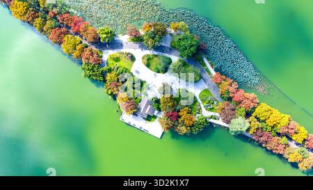 Pechino, Cina. 31 ottobre 2025. Una foto scattata con un drone il 31 ottobre 2025 mostra le persone che visitano il lago Xuanwu a Nanchino, nella provincia cinese del Jiangsu. Crediti: Yang SUPing/Xinhua/Alamy Live News Foto Stock