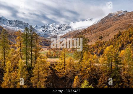 Ai piedi del monte Oronaye, nella splendida valle di Ubayette, il lago Reculaye Foto Stock