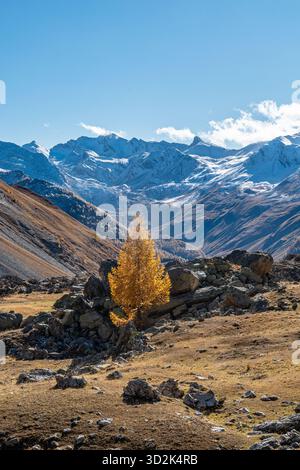 Ai piedi del monte Oronaye, nella splendida valle di Ubayette, il lago Reculaye Foto Stock