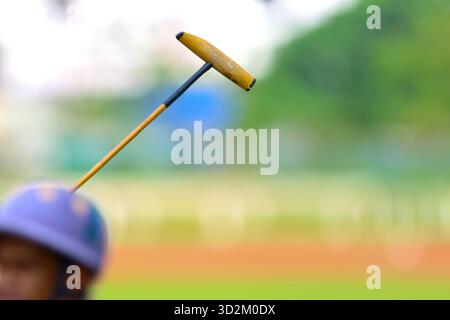 Il giocatore di Polo regge un mazzuolo di polo durante una partita. Foto Stock
