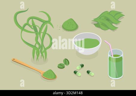 Set piatto isometrico 3D di Spirulina, supplemento alimentare Set piatto isometrico 3D di Spirulina, supplemento alimentare Foto Stock