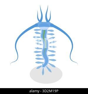 3D Isometric Flat Set of Variety of Plankton, Collection of Small Water Imrents. Punto 4 Foto Stock