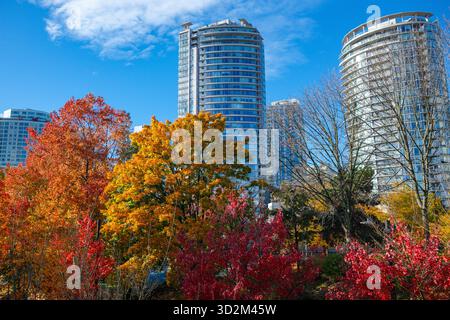 Una scena autunnale all'Andy Livingstone Park, Vancouver, British Columbia. Foto Stock
