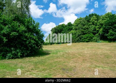 Una vibrante vista del Crow Wood Park a Sowerby Bridge, caratterizzato da un campo erboso inclinato delimitato da fitti alberi verdi e cespugli sotto un cielo blu brillante Foto Stock