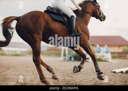 Cavallo e cavaliere in uniforme durante le gare di salto equestre o le corse ippiche Foto Stock