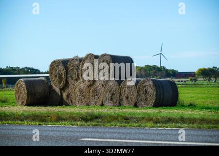 Le balle di fieno sono impilate ordinatamente in un campo verde vivace sotto il cielo blu. Una turbina eolica si trova sullo sfondo, evidenziando l'energia sostenibile in th Foto Stock