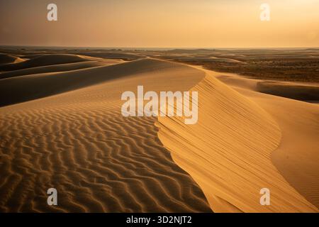 La bellezza mozzafiato delle dune di sabbia di Zahek durante il tramonto a Socotra, Yemen, con ampie linee di sabbia dorata e tranquillità. Foto Stock