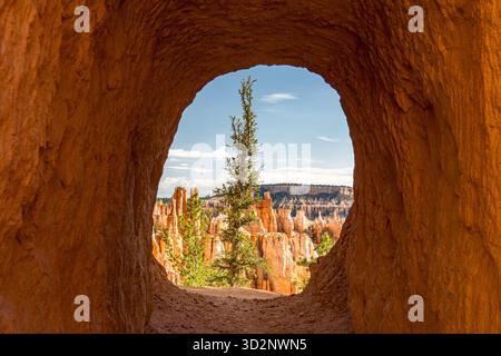 Breve tunnel lungo il Peekaboo Loop Trail nell'anfiteatro principale del Bryce Canyon National Park nello Utah, USA Foto Stock