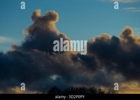 Nuvole pesanti che si formano sopra gli alberi a riga durante il tramonto, mostrando un leggero contrasto, un'atmosfera stratificata e un drammatico motivo serale in autunno naturale sk Foto Stock