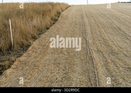 Controllo dell'erosione in pendenza con coperta a rete singola installata a terra per proteggere da erbacce e acqua Foto Stock