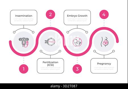 Infografica sulla salute riproduttiva cerchi di linea rosa Illustrazione Vettoriale