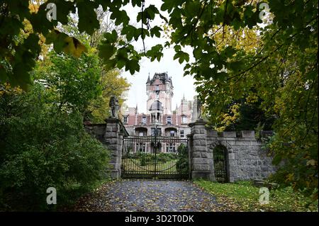DAS Schloss Boberstein poln. Zamek Bobrow liegt im Ortsteil Bobrow Boberstein der Gemeinde Myslakowice Zillerthal-Erdmannsdorf im powiat Jeleniogorski in der Woiwodschaft Niederschlesien. DAS Anwesen liegt am linken Ufer des Bober und ist heute eine Ruine. 10.10.2025 *** il castello di Boberstein Zamek Bobrow si trova nel distretto di Bobrow Boberstein del comune di Myslakowice Zillerthal Erdmannsdorf nel Jeleniogorski Powiat nel Voivodato della bassa Slesia la tenuta è situata sulla riva sinistra del fiume Bober ed è ora una rovina 10 10 10 2025 Copyright: XMatthiasxWehnertx Foto Stock