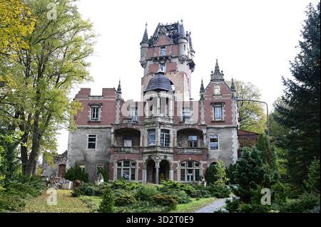DAS Schloss Boberstein poln. Zamek Bobrow liegt im Ortsteil Bobrow Boberstein der Gemeinde Myslakowice Zillerthal-Erdmannsdorf im powiat Jeleniogorski in der Woiwodschaft Niederschlesien. DAS Anwesen liegt am linken Ufer des Bober und ist heute eine Ruine. 10.10.2025 *** il castello di Boberstein Zamek Bobrow si trova nel distretto di Bobrow Boberstein del comune di Myslakowice Zillerthal Erdmannsdorf nel Jeleniogorski Powiat nel Voivodato della bassa Slesia la tenuta è situata sulla riva sinistra del fiume Bober ed è ora una rovina 10 10 10 2025 Copyright: XMatthiasxWehnertx Foto Stock