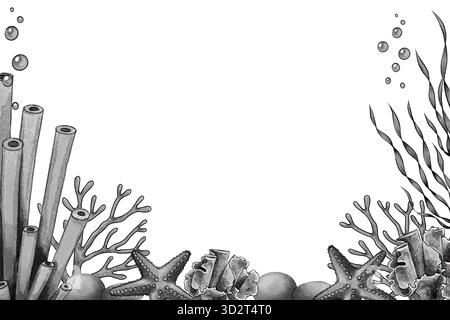 Cornice grafica in bianco e nero con coralli, alghe, coralli tubolari, conchiglie e stelle marine su sfondo bianco. Perfetto per design marino, inviti, imballaggi, decorazioni e progetti subacquei. Foto Stock