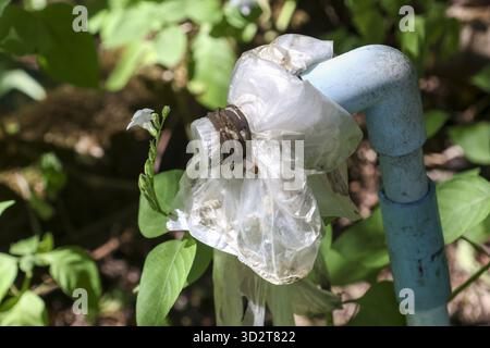 Vista ravvicinata del tubo dell'acqua blu rotto con riparazione in plastica realizzata localmente. la riparazione temporanea sul tubo in pvc per esterni che perde mostra il concetto di negligenza in giardino Foto Stock