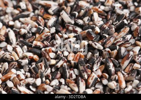 Sano sfondo alimentare di grano misto, con consistenza naturale di riso integrale e riso nero. Questa miscela sana di riso crudo è l'ingrediente perfetto per Foto Stock