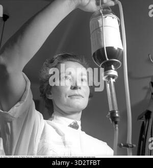 Trasfusione di sangue negli anni '1950 Un'infermiera che indossa un badge Sophiahemmet sulla sua uniforme si trova accanto a un supporto che contiene una bottiglia di sangue etichettata O. il gruppo sanguigno è indicato come o (la lettera o, non zero). È uno degli otto gruppi sanguigni principali del sistema ABO, insieme A A, B e AB, e può essere o RH-positivo (o+) o RH-negativo (o-). La designazione o indica l'assenza di antigeni A o B sulla superficie dei globuli rossi. Kungsholmen, Stoccolma, 18 febbraio 1952 Conard rif. 1931 Foto Stock