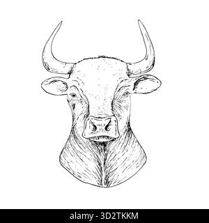Testa di mucca vettoriale con corna. Illustrazione animale con inchiostro grafico, isolata sullo sfondo. Schizzo della linea disegnata a mano. Per designer, stampe, logo, icona, menu Illustrazione Vettoriale