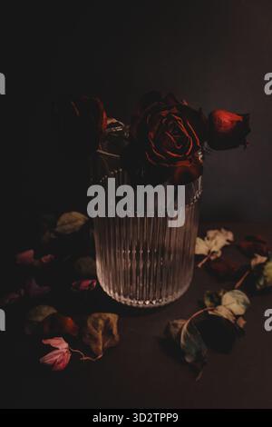 Rose rosse in una copertina di un libro in vaso di vetro Foto Stock