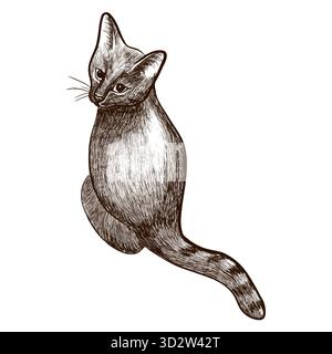 Illustrazione vettoriale di un gatto in stile grafico. Adatto per illustrazioni di animali domestici, stampe, design di imballaggi, t-shirt, poster, e decorazioni a tema animale. Foto Stock