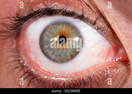 Primo piano estremo di un Iris umano che mostra motivi intricati e colori naturali con dettagli elevati. Foto Stock