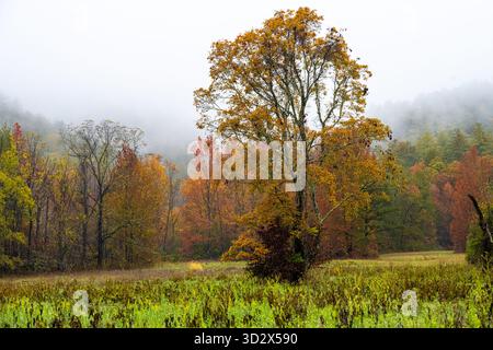 Paesaggio panoramico autunnale a Cades Cove nel Great Smoky Mountains National Park vicino a Townsend, Tennessee. (USA) Foto Stock