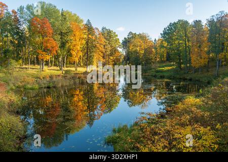 Un tranquillo paesaggio autunnale caratterizzato da un lago calmo circondato da alberi colorati con vibranti foglie gialle, arancioni e verdi Foto Stock