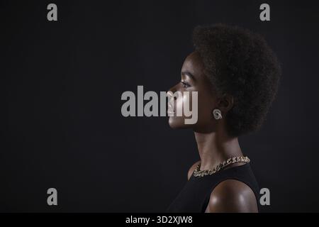Primo piano profilo ritratto di donna afroamericana con acconciatura afro su sfondo nero Foto Stock