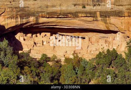 Cliff Palace Ruin, Mesa Verde National Park, riserva indiana di Ute, Montezuma Co Colorado Foto Stock