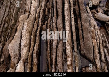 Formazioni rocciose di Flysch con strati sedimentari a strati sulla costa di Zumaia, Geopark, Paesi Baschi, Spagna, sito del patrimonio geologico Foto Stock