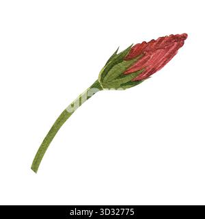 Un fiore di ibisco rosso dipinto a mano. Un elemento di design per i materiali stampati. Foto Stock