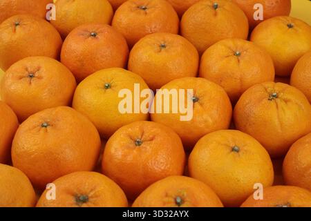 Immagine ravvicinata di arance fresche mature disposte in righe. Il colore arancione brillante e la consistenza liscia esaltano la freschezza e la succosità del frutto Foto Stock