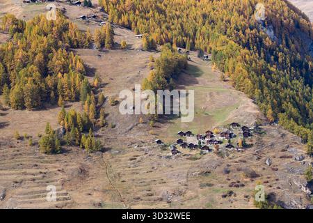Alberi che si innalzano su una ripida montagna che si illuminano di giallo brillante e arancio nei colori autunnali. Piccole case di legno in piedi. Valle del Rodano, Svizzera, Europa Foto Stock