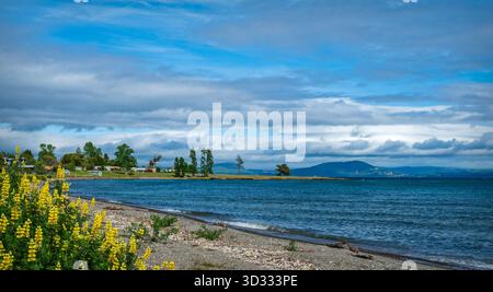 Vista dal punto di osservazione del fiume Waitahanui sulle rive del lago Taupo, appena fuori dalla State Highway 1 (Volcanic Loop Highway), North Island, nuova Zelanda. Foto Stock