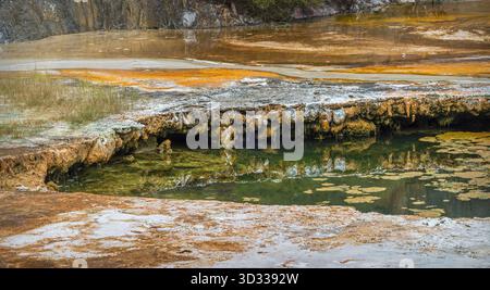 Terrazze e geyser di silice al Parco geotermico di Orakei Korako, Orakei Korako Road, Taupo, Isola del Nord, nuova Zelanda. Foto Stock